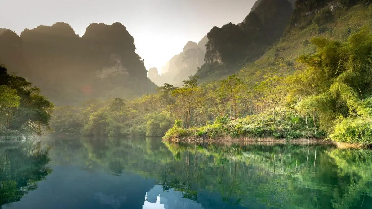 高端全自动高端